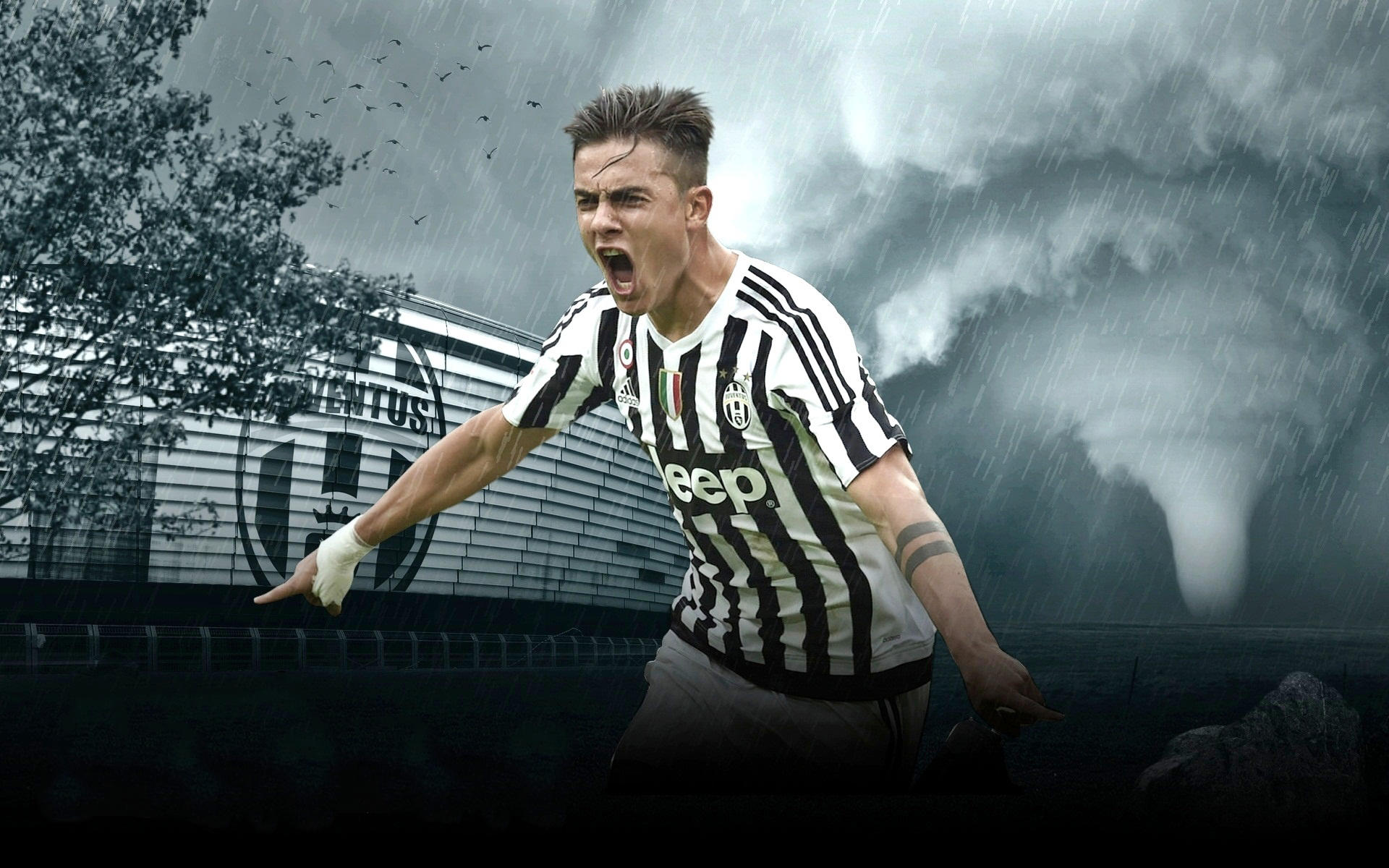 让他敢于全 让他敢于全